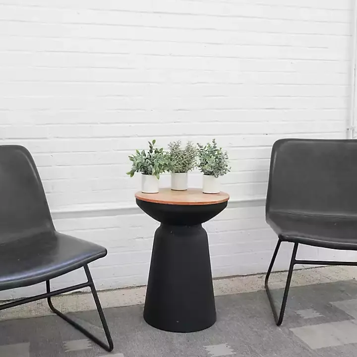 Succulent Arrangements in Ceramic Pots, Set of 3