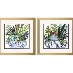 Succulent Garden Framed Art Prints, Set of 2