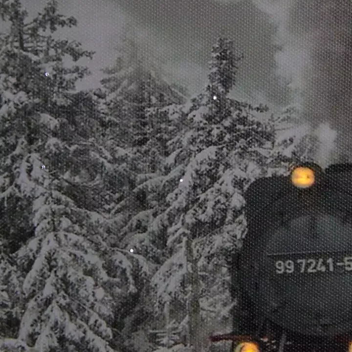 Train in Winter Woods LED Canvas Art Print