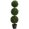 Triple-Ball Boxwood Topiary in Black Planter