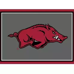 University of Arkansas Area Rug, 3x4