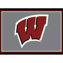 University of Wisconsin Area Rug, 4x6