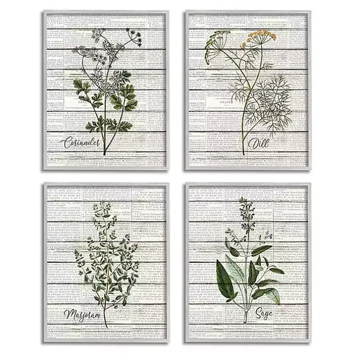 Vintage Herbs Framed Art Prints, Set of 4