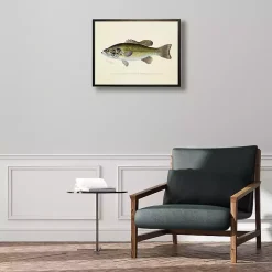 Vintage Large Mouthed Bass Framed Art Print
