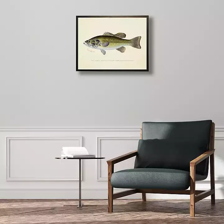 Vintage Large Mouthed Bass Framed Art Print