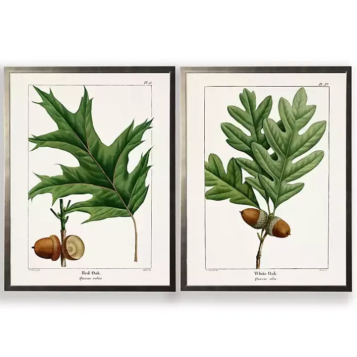 Vintage Oak Leaves Framed Art Prints, Set of 2
