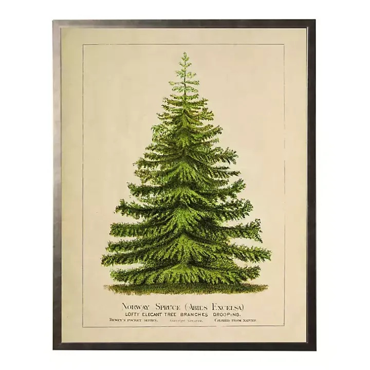 Vintage Spruce Tree Framed Art Print