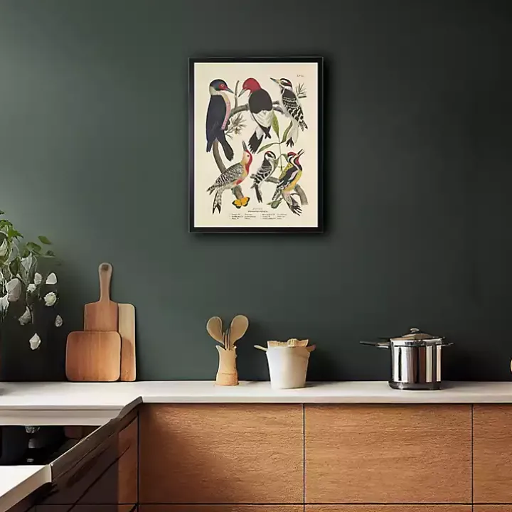 Vintage Woodpecker Birds Framed Art Print