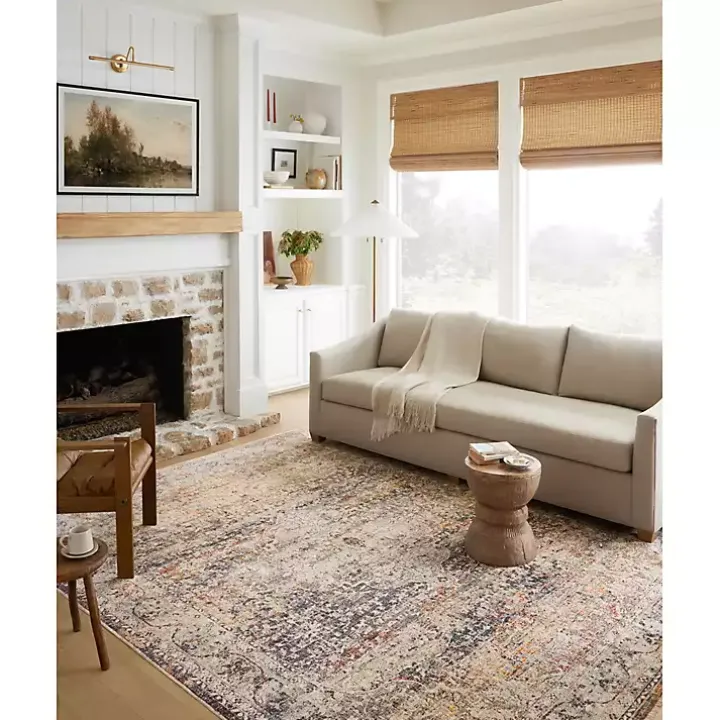 Warm Neutral Lucca Area Rug, 6x9