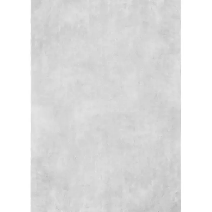 Whitlow Silver Shag Washable Area Rug, 6x9