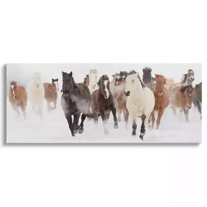 Wild Winter Horses Canvas Art Print, 48x20 in.