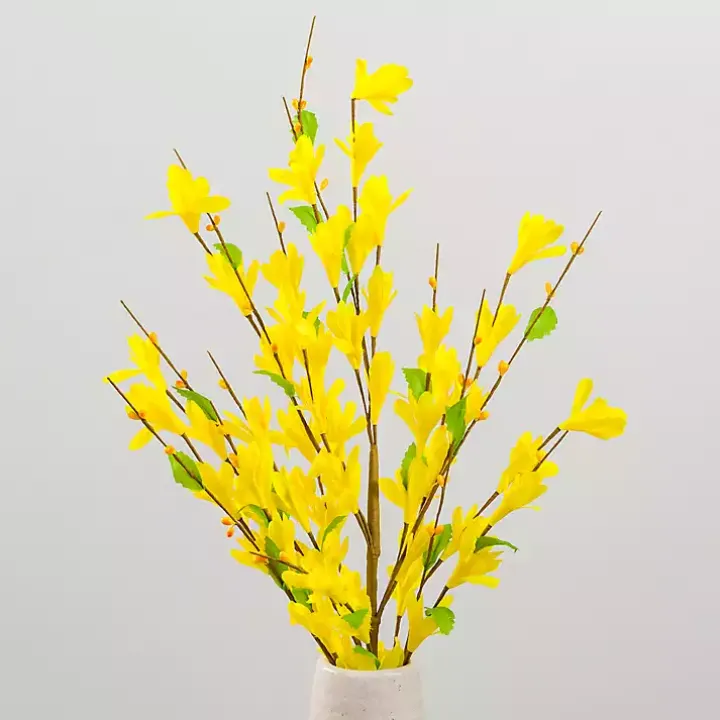 Yellow Forsythia Stems, Set of 3